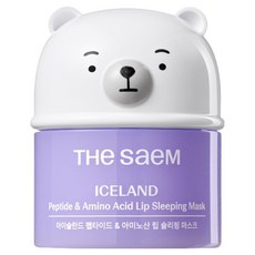 더샘 아이슬란드 펩타이드 앤 아미노산 립 슬리핑 마스크 무색 13g, 1개, 1개입