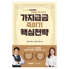 가지급금 죽이기 핵심전략, 반양장