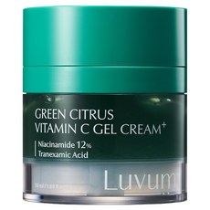 러븀 그린 시트러스 나이아신 비타민 씨 젤 크림 플러스, 1개, 50ml