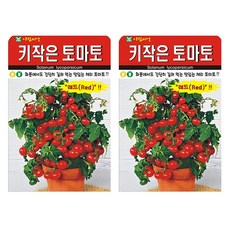 아람종묘 키작은토마토 앉은뱅이 토마토 씨앗, 2개