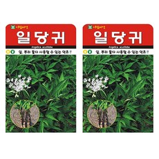 아람종묘 일당귀 왜당귀 씨앗, 2개