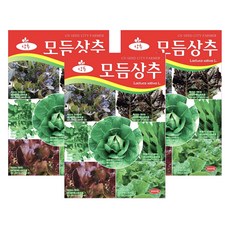 청농종묘 모듬 상추 씨앗 3000p, 3개