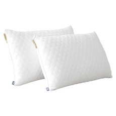 BLUE BIRD BEDDING 青鳥家居 全支撐枕頭 1.3kg, 白色, 2件
