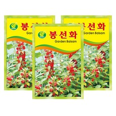 청농종묘 봉선화 씨앗 50p, 3개
