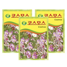 청농종묘 코스모스 씨앗 50p, 3개