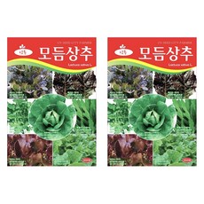 청농종묘 모듬 상추 씨앗 3000p, 2개