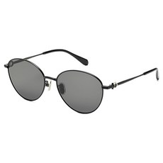 Salvatore Ferragamo 菲拉格慕 男女通用太陽眼鏡 SF337SLBK 001 57