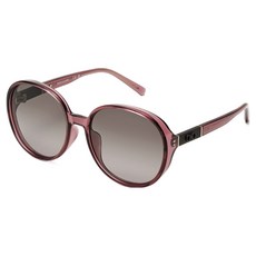 Salvatore Ferragamo 菲拉格慕 男女通用太陽眼鏡 SF2054SLBK 610 59