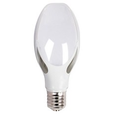 블링라이트 DL LED 보안등 전구 42W E39, 주광색, 1개