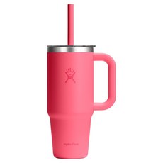 하이드로플라스크 올어라운드 트래블 텀블러, 팝스타 핑크, 709ml, 1개