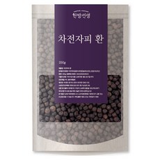 한방선생 차전자피 환, 250g, 1개