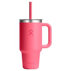 하이드로플라스크 올어라운드 트래블텀블러, 팝스타 핑크, 946ml, 1개