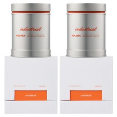 벤딕트 솔베아 대용량 고체 탈취제 인더스트리얼, 360g, 2개