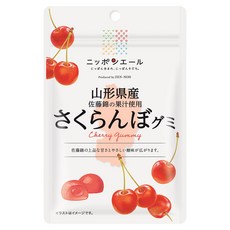 닛폰에일 야마가타 체리 구미, 40g, 1개