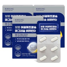 보령 해조 어골 칼슘 마그네슘 비타민D 아연 60g, 3개, 60정