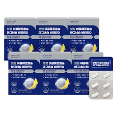 보령 해조 어골 칼슘 마그네슘 비타민D 아연 60g, 6개, 60정