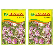 청농종묘 아름다운 프리미엄 코스모스 씨앗 50립, 2개