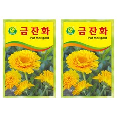 청농종묘 프리미엄 메리골드 황금색 꽃잎 금잔화 씨앗 20립, 2개 2개