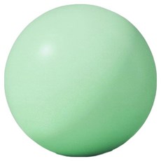 오브제크 요가 필라테스 미니 짐볼 + 펌프 세트, 그린