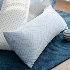 로제프 듀라론 3중직 냉감 바디필로우 솜포함, 블루