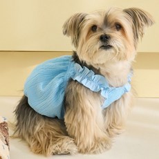 베니즈 강아지 푸딩 벌룬 탑, 스카이 블루, 1개