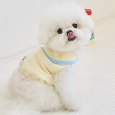 BENNYS 狗狗 Homies 短版 T 恤