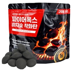 FIREFOLKS 야자숯 착화탄, 1개, 1kg