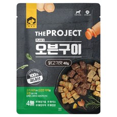 펫러닝 강아지 더프로젝트 오븐구이 수제간식, 40g, 1개, 닭
