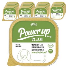 엘릿 강아지 파워업 주식 사각캔, 100g, 20개, 양