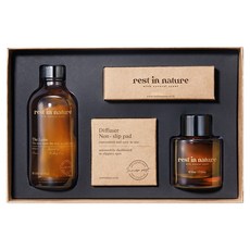 레스트인네이처 차량 겸용 더 라즈니 디퓨저, 120ml, 1개