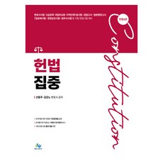 헌법집중 진정6판, 윌비스