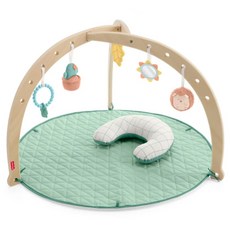 fisher-price 費雪 木製叢林寶寶健身器, 混和顏色, 1個