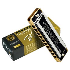 SEYDEL Blues Soloist Pro 10孔 A調口琴 542109