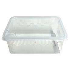 두렙 파충류 캐슬 사육장 소형 PP 일반뚜껑, 투명+투명PP뚜껑 세트, 투명, 1개