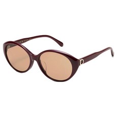 Salvatore Ferragamo 菲拉格慕 圓形太陽眼鏡 SF2093SLB 606 57