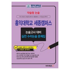 약술형 논술 홍익대학교 세종캠퍼스 논술고사 대비 실전 수리논술 문제집, 논술/작문, 고등 3학년