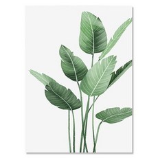 ROI라이프 북유럽풍 식물 포스터 녹색 잎 캔버스포스터 액자미포함 R