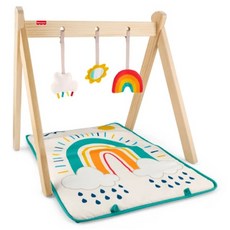 fisher-price 費雪 木製彩虹寶寶健身器, 混和顏色, 1個
