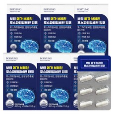보령 메가 브레인 포스파티딜세린 징코 13.5g, 30정, 6개