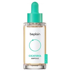 비플레인 시카테롤 앰플, 50ml, 1개