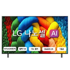 LG전자 4K UHD LED 나노셀 AI TV, 107cm(43인치), 43NANO80ANA, 스탠드형, 방문설치