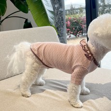 MAGDOG 寵物蘿西荷葉邊T恤