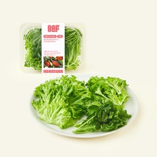 원에이커팜 무농약 인증 터스칸믹스, 100g, 1개, 1개입