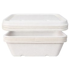 Bloom at home 紙漿長方形便當盒 650ml + 蓋子套組