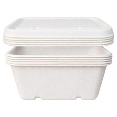 Bloom at home 紙漿長方形便當盒 1000ml + 蓋子組合