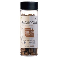 레디펫고 강아지 홍삼이랑유산균 가수분해 영양간식, 관절 면역(튼튼한 뼈 골밀도), 300g, 1개