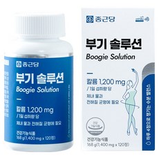 종근당 부기 솔루션 칼륨 168g, 1개, 120정