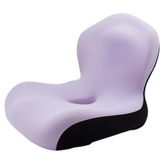 엑스터 프리미엄 인체공학 자세교정 시트 쿠션 방석, 모델F