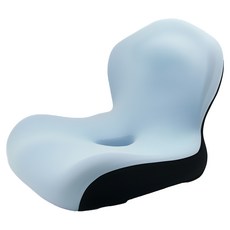 엑스터 프리미엄 인체공학 자세교정 시트 쿠션 방석, 모델D