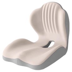 Ecster 人體工學姿勢矯正記憶棉靠背一體式坐墊